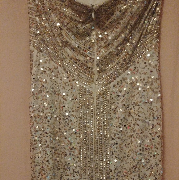 Joanna Chen New York Sequin Mesh strapless Gown - Picture 7 of 8